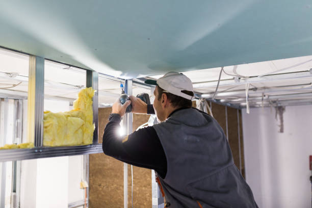 Best Attic Insulation Installation  in Brimfield, OH